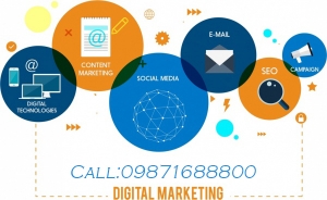 Best Digital Marketing Company in Delhi 